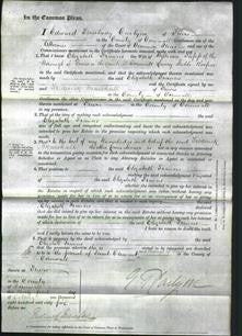 Court of Common Pleas - Elizabeth Francis Tapp-Original Ancestry