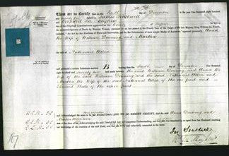 Deed by Married Women - Anna Downing and Martha Allen-Original Ancestry