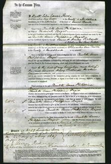 Court of Common Pleas - Charlotte Anne Philippina Bagot-Original Ancestry