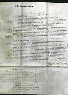 Court of Common Pleas - Elizabeth Morgan and Charlotte Savage-Original Ancestry