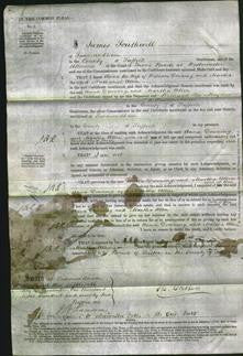 Court of Common Pleas - Anna Downing and Martha Allen-Original Ancestry