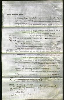 Court of Common Pleas - Elizabeth Heywood Leech-Original Ancestry