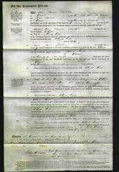 Court of Common Pleas - Eliza Cox-Original Ancestry