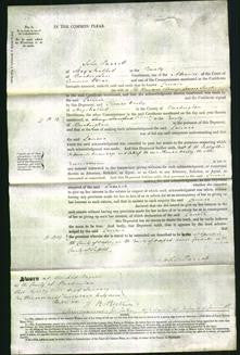 Court of Common Pleas - Lavinia Forster-Original Ancestry