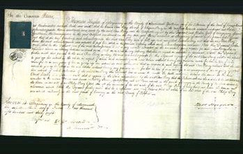 Court of Common Pleas - Ann Parry-Original Ancestry