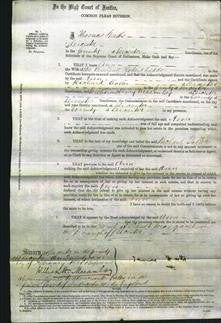 Court of Common Pleas - Ann Seddon-Original Ancestry