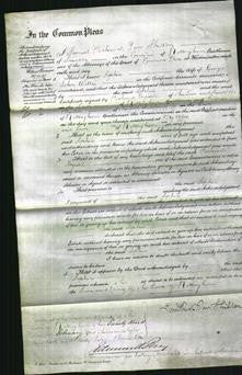 Court of Common Pleas - Sophia Willey-Original Ancestry