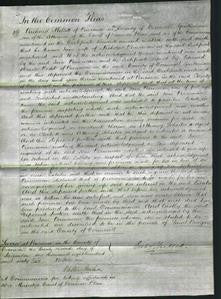 Court of Common Pleas - Jane Permewan-Original Ancestry