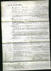 Court of Common Pleas - Mary Ann Freeman-Original Ancestry