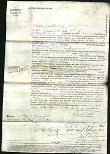Court of Common Pleas - Sarah Moore Halsey-Original Ancestry