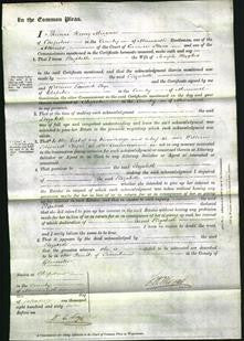 Court of Common Pleas - Elizabeth Hughes-Original Ancestry