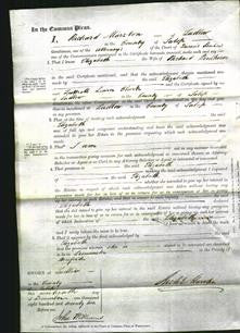 Court of Common Pleas - Elizabeth Woodhouse-Original Ancestry
