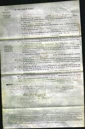 Court of Common Pleas - Harriet Matilda Bulkel-Original Ancestry