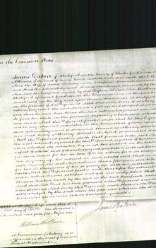 Court of Common Pleas - Ann Fielding-Original Ancestry