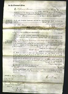 Court of Common Pleas - Sarah Emerson-Original Ancestry