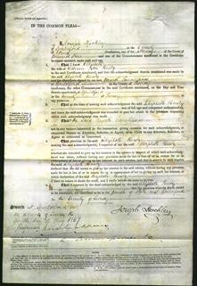 Court of Common Pleas - Elizabeth Busby-Original Ancestry