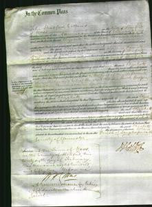 Court of Common Pleas - Elizabeth Hale-Original Ancestry