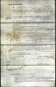 Court of Common Pleas - Emily Anne Weight-Original Ancestry