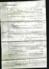 Court of Common Pleas - Mary Anne Dearsly-Original Ancestry