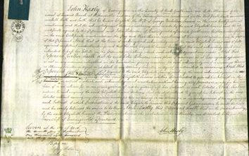 Court of Common Pleas - Elizabeth Seavers-Original Ancestry