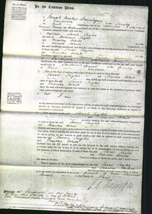 Court of Common Pleas - Sarah Taylor and Martha White-Original Ancestry