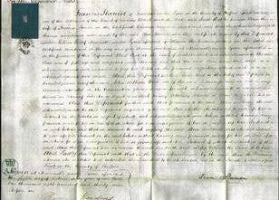 Court of Common Pleas - Ann Stanier-Original Ancestry