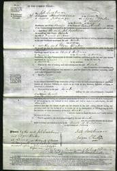 Court of Common Pleas - Sarah Watson-Original Ancestry