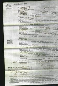 Court of Common Pleas - Eliza Wilson-Original Ancestry