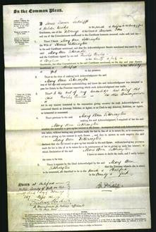 Court of Common Pleas - Mary Ann Titterington-Original Ancestry