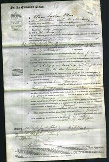 Court of Common Pleas - Susan Gascoyne Hurry-Original Ancestry
