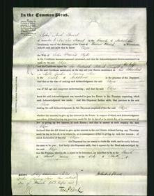 Court of Common Pleas - Eliza Hyde-Original Ancestry