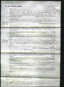 Court of Common Pleas - Sarah Freeman-Original Ancestry