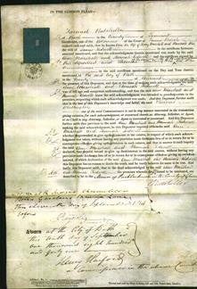 Court of Common Pleas - Ann Marshall and Hannah Kidwell-Original Ancestry