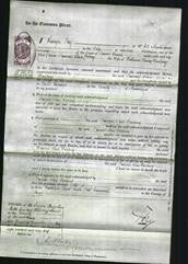 Court of Common Pleas - Frances Olive Darling-Original Ancestry