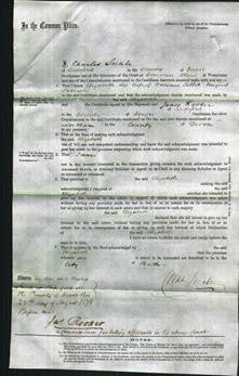 Court of Common Pleas - Elizabeth Patterson-Original Ancestry