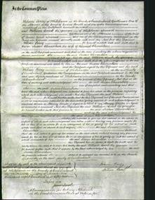 Court of Common Pleas - Susan Clementson-Original Ancestry