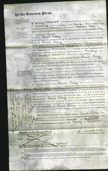 Court of Common Pleas - Sarah Cole Tilley-Original Ancestry