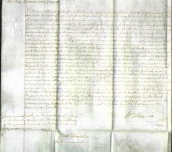 Court of Common Pleas - Elizabeth Sheardown-Original Ancestry