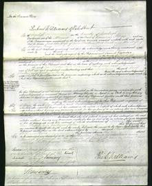 Court of Common Pleas - Jane Watkin and Catherine Parry-Original Ancestry