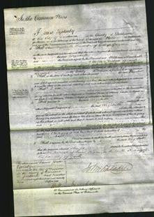 Court of Common Pleas - Elizabeth Gregson-Original Ancestry