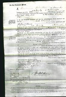 Court of Common Pleas - Elizabeth Roper-Original Ancestry