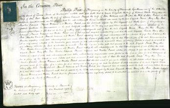 Court of Common Pleas - Elizabeth Roberts, Mary Ann Poole, Martha Edmund, Hannah William and Martha Probert-Original Ancestry