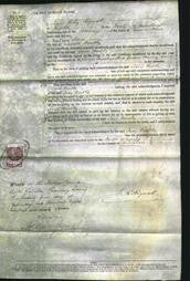 Court of Common Pleas - Jane Bentley-Original Ancestry