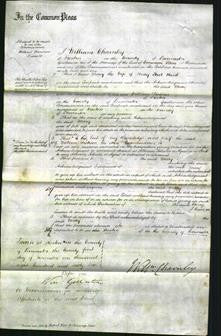 Court of Common Pleas - Mary Hunt-Original Ancestry