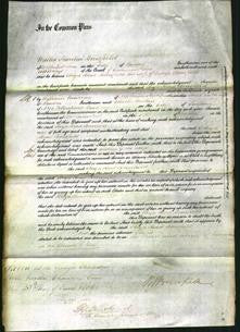 Court of Common Pleas - Eliza Read Bousfield-Original Ancestry