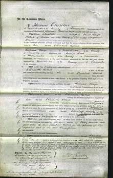 Court of Common Pleas - Elizabeth Roberts-Original Ancestry