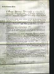 Court of Common Pleas - Margaretta Elizabeth Whiford-Original Ancestry