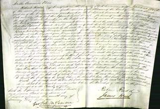 Court of Common Pleas - Ann Rowntree-Original Ancestry