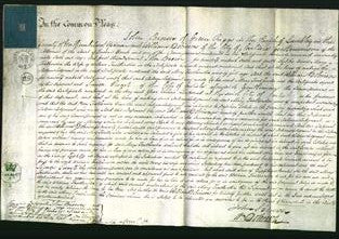 Court of Common Pleas - Mary Featherston-Original Ancestry