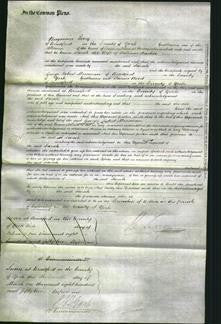 Court of Common Pleas - Sarah Barker-Original Ancestry